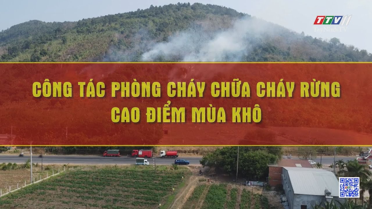 Công tác phòng chống cháy rừng cao điểm mùa khô | TIẾNG NÓI CỬ TRI | TayNinhTV
